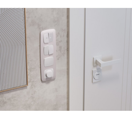 Выключатель перекрестный двухклавишный без рамки Ambrella Volt OMEGA MO123030