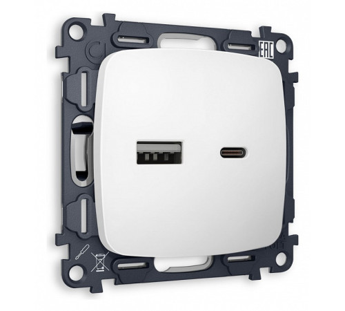 Розетка 2хUSB type A и C без рамки Ambrella Volt Quant MO131010