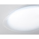 Накладной светильник Ambrella Light ORBITAL FZ1601