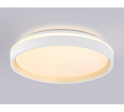 Накладной светильник Ambrella Light FZ FZ607