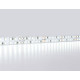 Лента светодиодная Ambrella Light GS GS3703