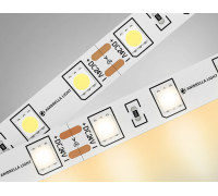Лента светодиодная Ambrella Light GS GS4001