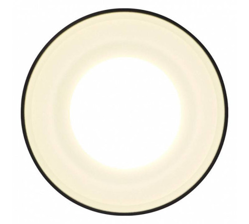 Накладной светильник Ambrella Light TN TN3204