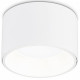 Накладной светильник Ambrella Light TN TN52892