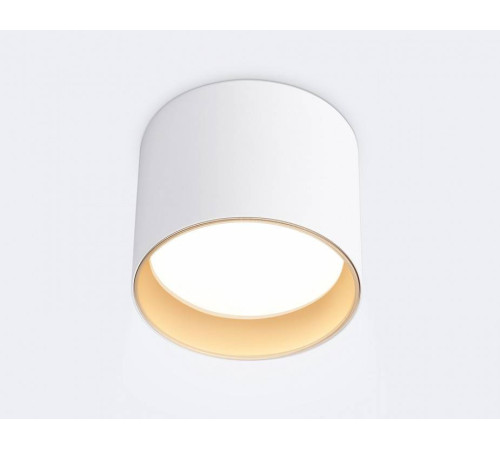 Накладной светильник Ambrella Light TN TN5304