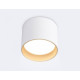 Накладной светильник Ambrella Light TN TN5304