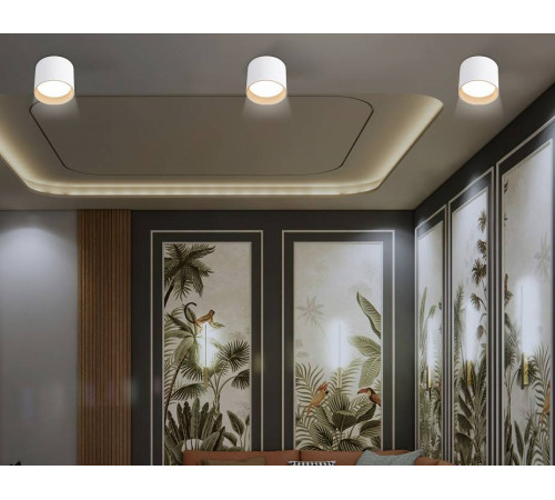 Накладной светильник Ambrella Light TN TN5304