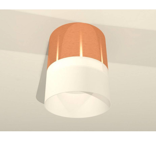 Накладной светильник Ambrella Light XS XS8122011