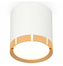 Накладной светильник Ambrella Light XS XS8141004