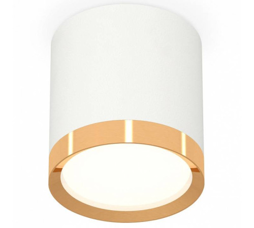 Накладной светильник Ambrella Light XS XS8141004