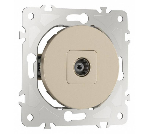 ТВ-розетка без рамки Arte Milano am-202 202.43-1.shampan