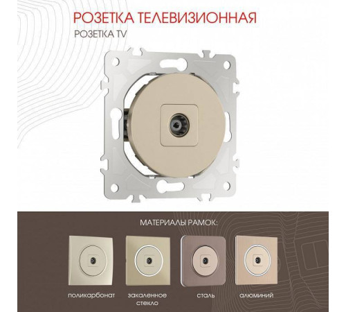 ТВ-розетка без рамки Arte Milano am-202 202.43-1.shampan