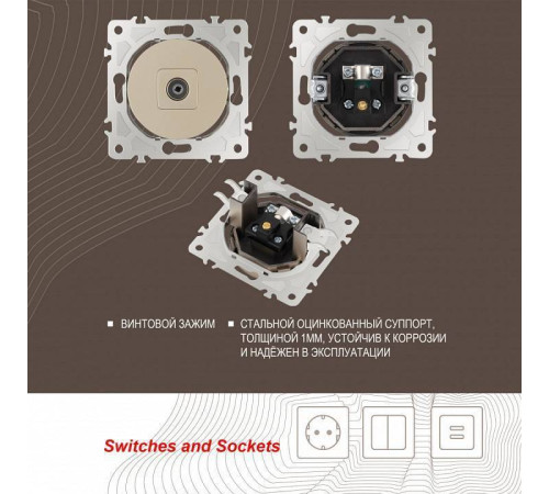 ТВ-розетка без рамки Arte Milano am-202 202.43-1.shampan
