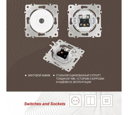 ТВ-розетка без рамки Arte Milano am-202 202.43-1.white