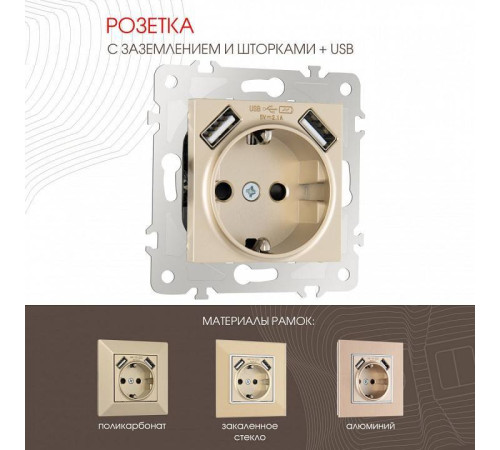 Розетка с заземлением и со шторкой и 2хUSB, без рамки Arte Milano am-203 203.47-1.shampan