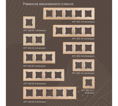 Розетка с заземлением и со шторкой и 2хUSB, без рамки Arte Milano am-203 203.47-1.shampan