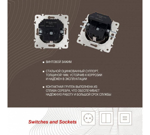 Розетка с заземлением и со шторкой и 2хUSB, без рамки Arte Milano am-203 203.47-1.shampan
