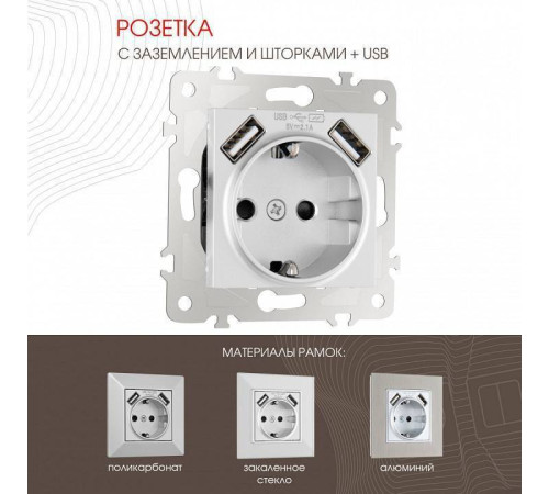 Розетка с заземлением и со шторкой и 2хUSB, без рамки Arte Milano am-203 203.47-1.silver