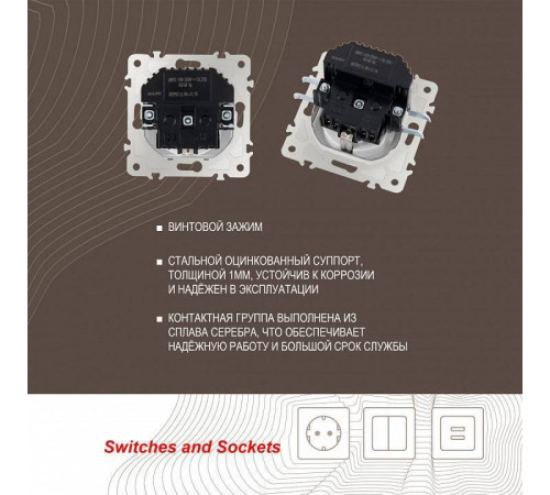 Розетка с заземлением и со шторкой и 2хUSB, без рамки Arte Milano am-203 203.47-1.white