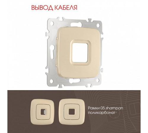 Розетка для вывод кабеля без рамки Arte Milano am-205 205.49-1.shampan