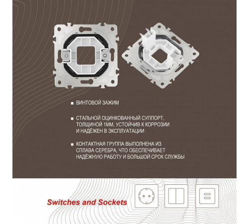 Розетка для вывод кабеля без рамки Arte Milano am-205 205.49-1.shampan