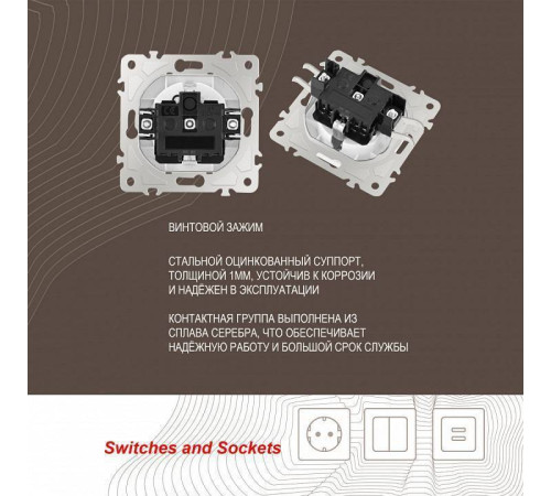 Розетка с заземлением и со шторкой, без рамки Arte Milano am-206 206.40-1.white
