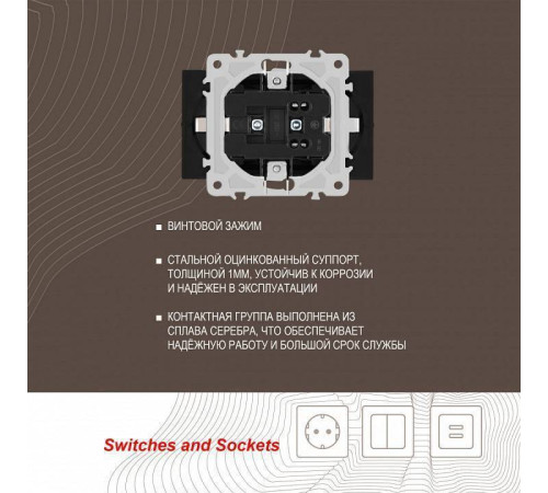 Розетка двойная с заземлением, без рамки Arte Milano am-206 206.40-2.black