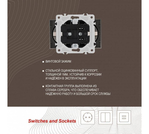 Розетка двойная с заземлением, без рамки Arte Milano am-206 206.40-2.shampan