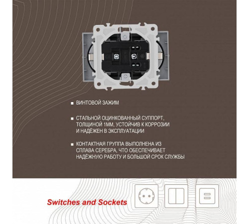 Розетка двойная с заземлением, без рамки Arte Milano am-206 206.40-2.silver