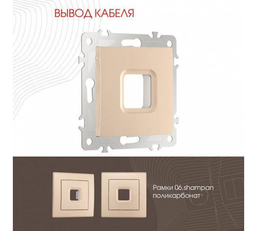 Розетка для вывод кабеля без рамки Arte Milano am-206 206.49-1.shampan