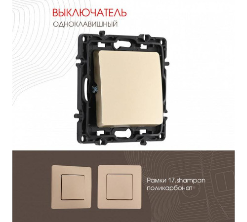 Выключатель одноклавишный без рамки Arte Milano 217 217.30-1.shampan