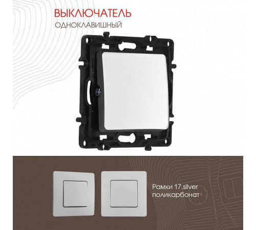Выключатель одноклавишный без рамки Arte Milano 217 217.30-1.silver