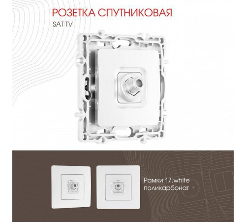 ТВ-розетка без рамки Arte Milano am-217 217.42-1.white