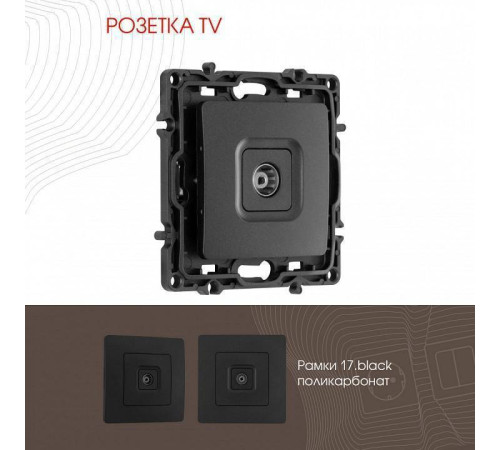 ТВ-розетка без рамки Arte Milano am-217 217.43-1.black