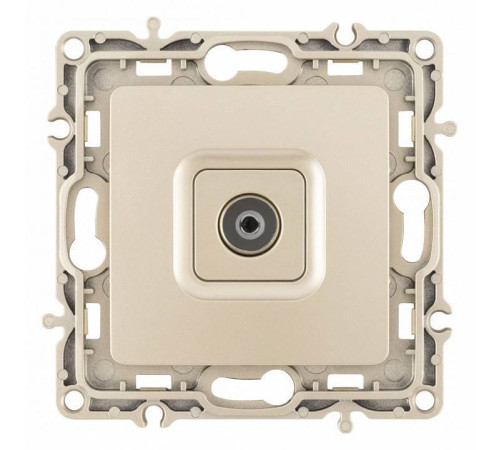 ТВ-розетка без рамки Arte Milano am-217 217.43-1.shampan