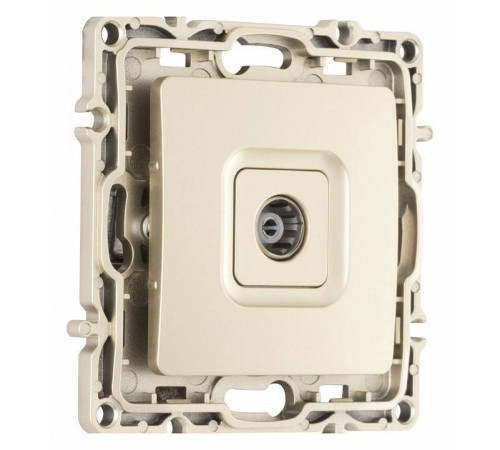 ТВ-розетка без рамки Arte Milano am-217 217.43-1.shampan