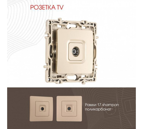 ТВ-розетка без рамки Arte Milano am-217 217.43-1.shampan