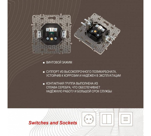 ТВ-розетка без рамки Arte Milano am-217 217.43-1.shampan