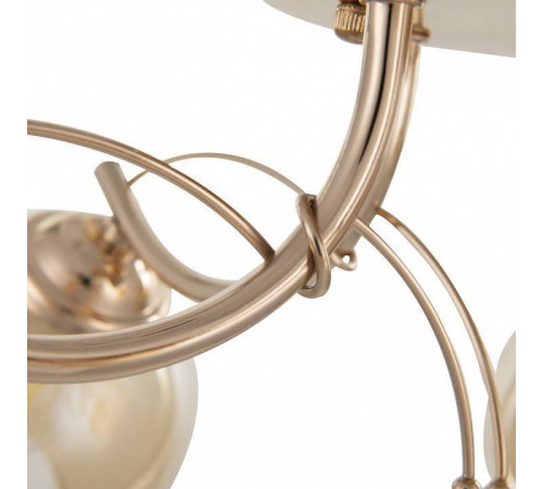 Потолочная люстра Arte Milano Napoli-0566 330566/5 FGD