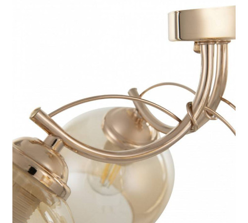 Потолочная люстра Arte Milano Napoli-0566 330566/5 FGD