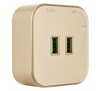 Розетка 2xUSB на треке Arte Milano Am-track-sockets 380022TS/USBx2 Gold