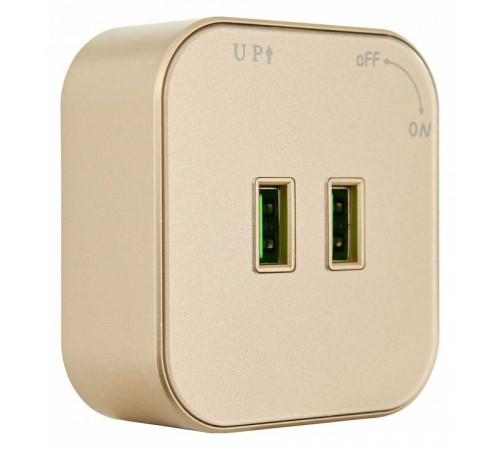 Розетка 2xUSB на треке Arte Milano Am-track-sockets 380022TS/USBx2 Gold