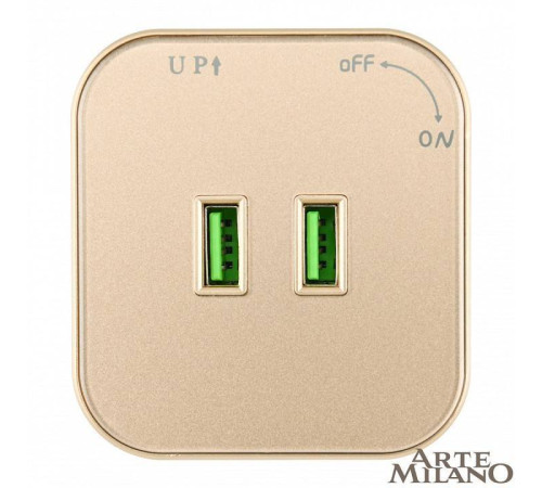 Розетка 2xUSB на треке Arte Milano Am-track-sockets 380022TS/USBx2 Gold