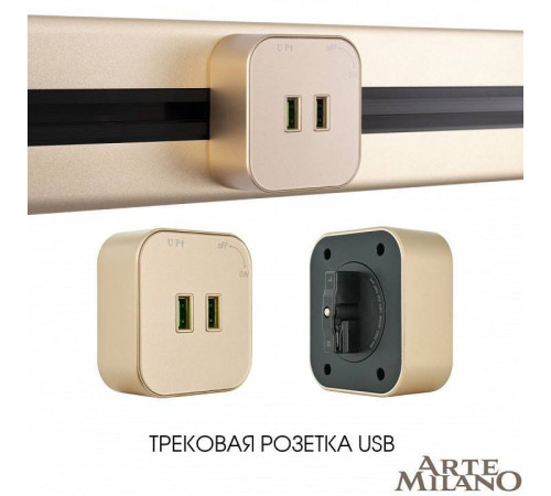 Розетка 2xUSB на треке Arte Milano Am-track-sockets 380022TS/USBx2 Gold