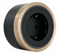 Розетка с заземлением на треке Arte Milano Am-track-sockets 380066TS LED/ES Gold
