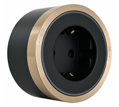 Розетка с заземлением на треке Arte Milano Am-track-sockets 380066TS LED/ES Gold