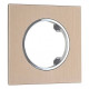 Рамка на 1 пост Arte Milano am-502.11 502.11-1.shampan