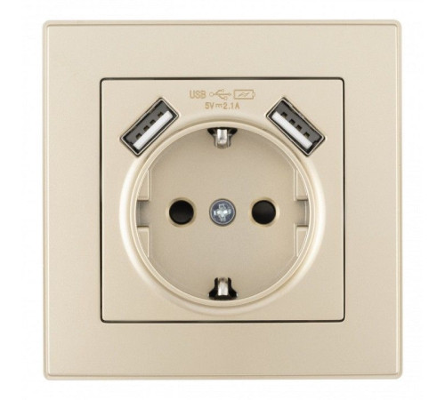 Розетка с заземлением и со шторкой и 2хUSB Arte Milano SET06-1 SET06-1-47-1 shampan