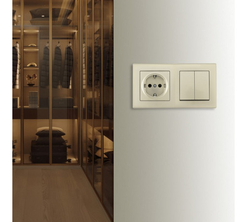 Блок с розеткой и выключателем Arte Milano SET06-2 SET06-2-30-2-40-1 shampan