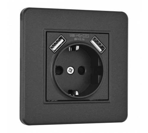 Розетка с заземлением и со шторкой и 2хUSB Arte Milano SET16-1 SET16-1-47-1 black